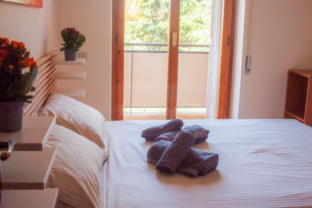 The Cozy Flat In Eur Rome