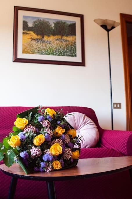 The Cozy Flat In Eur Apartment *