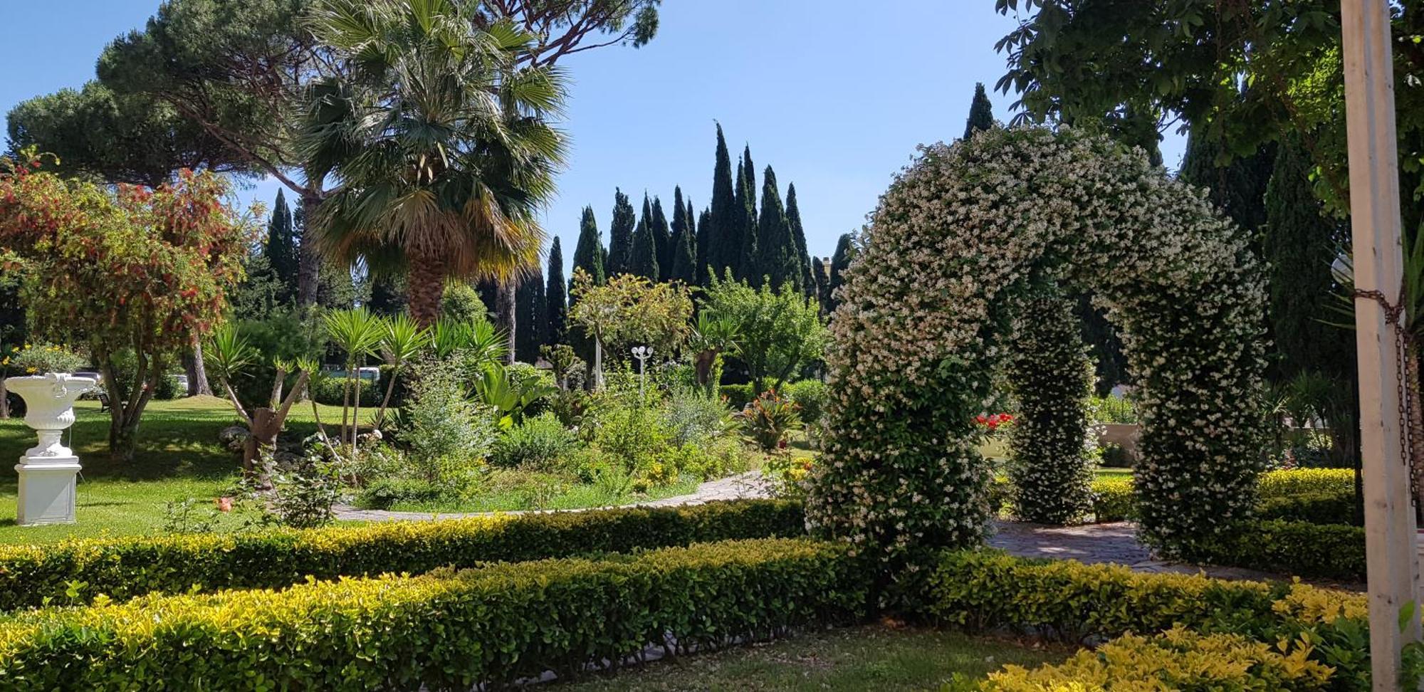 Oasis *