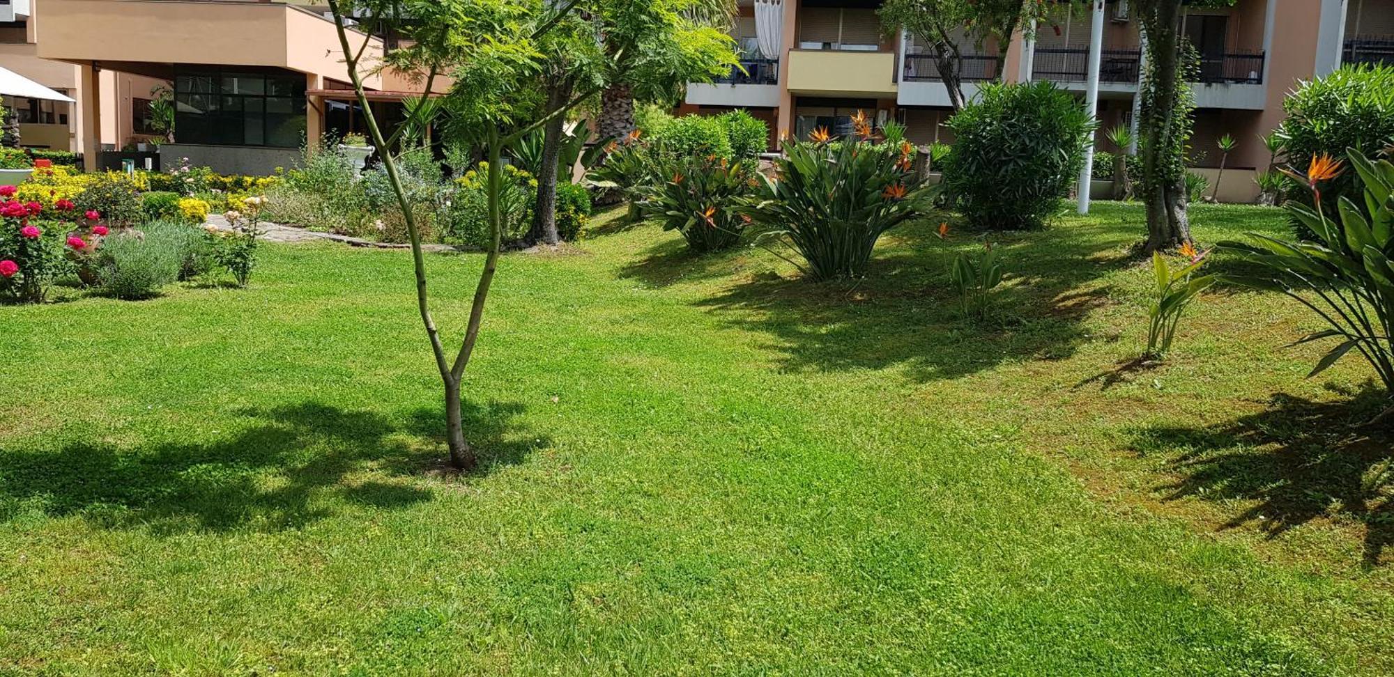 Leilighet Oasis *