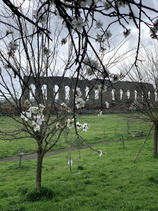 Apartamento Casetta Fari Metro A Tuscolana Roma
