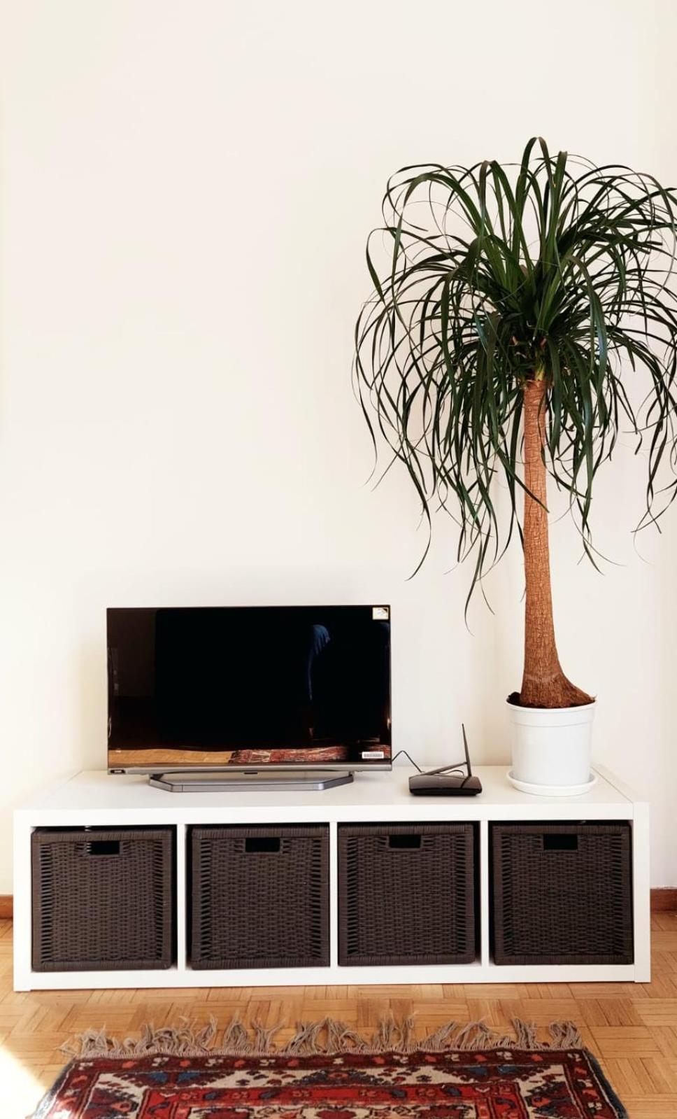 Oasi Urbana: Confort E Stile Leilighet *