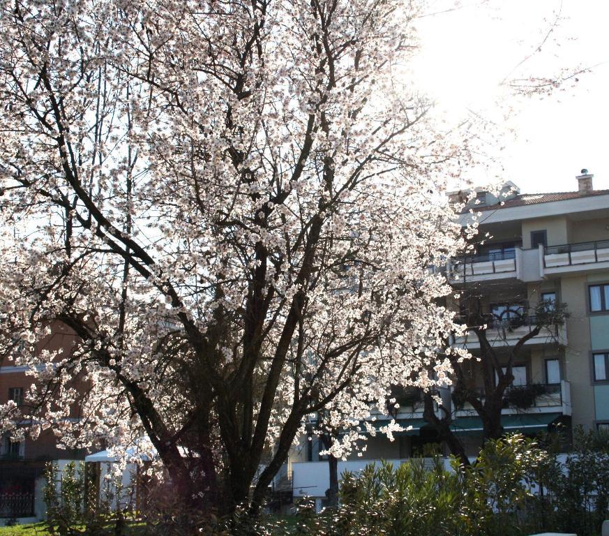 Ecohotel Hotel Roma