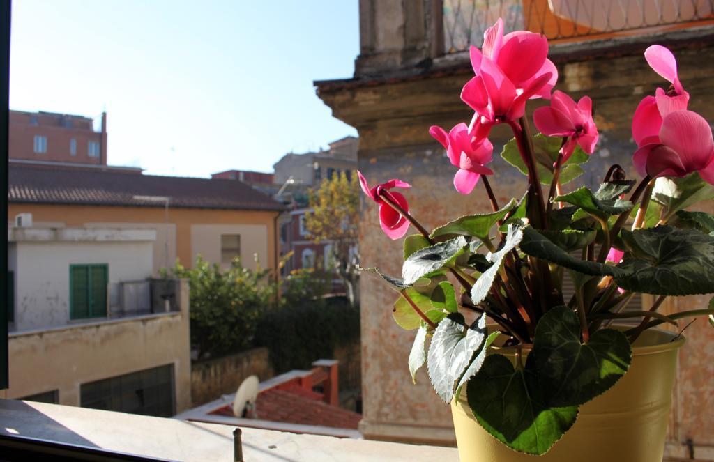 Bed & Breakfast Abaco Roma