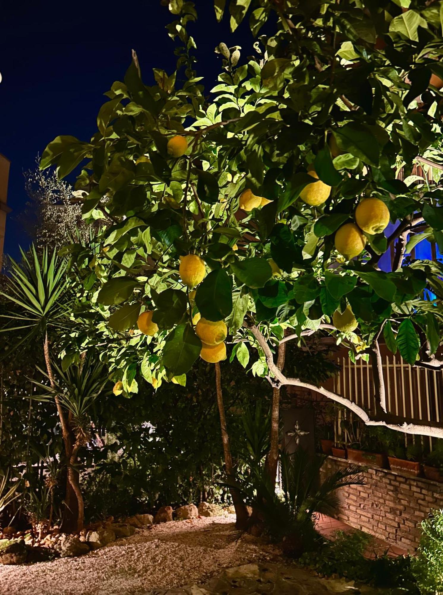 Isola Roger - Con Giardino A Casa de Férias