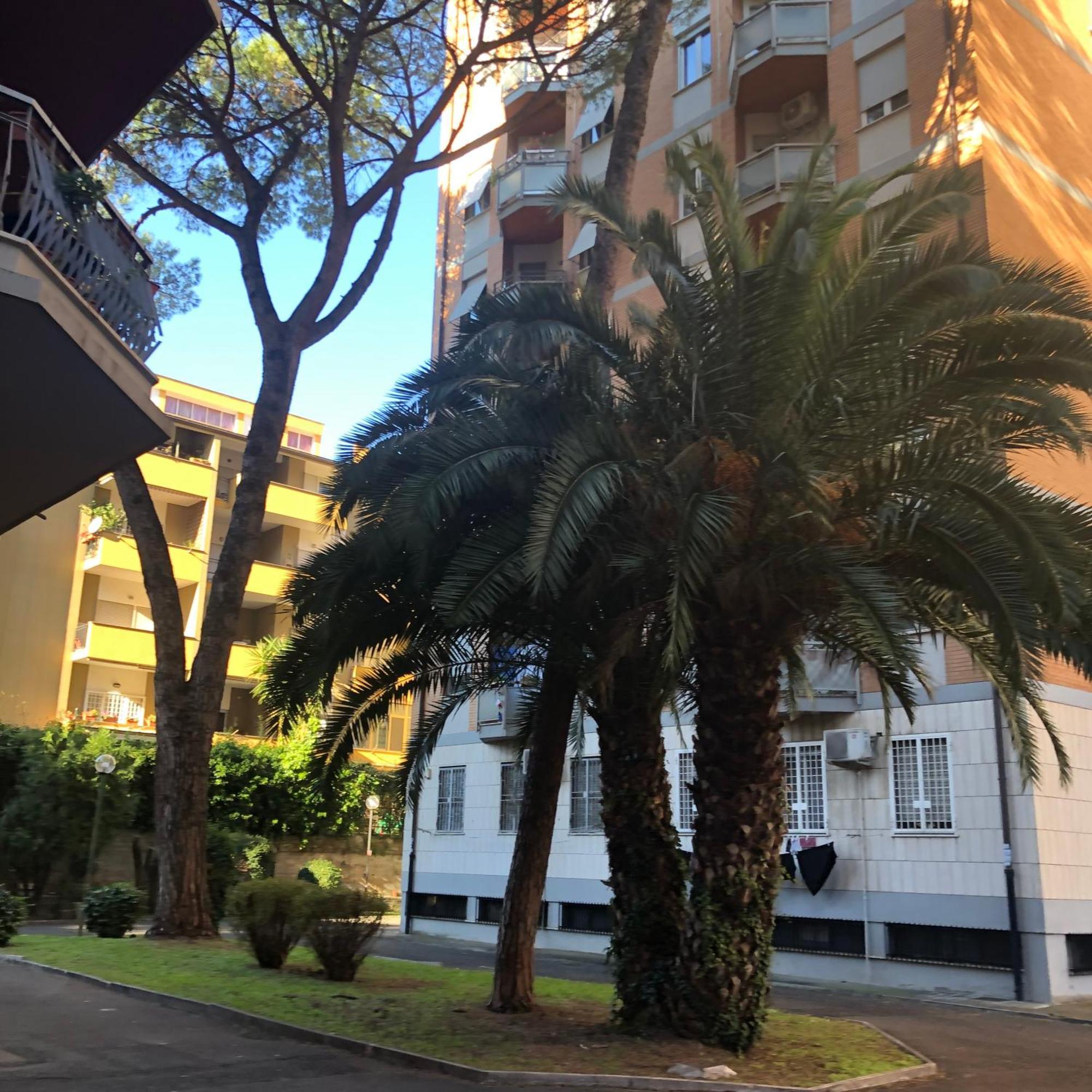 Apartamento Gens Romana *