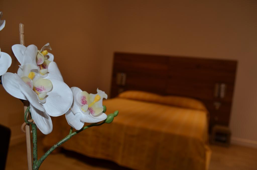 Bed & Breakfast 5rooms Roma