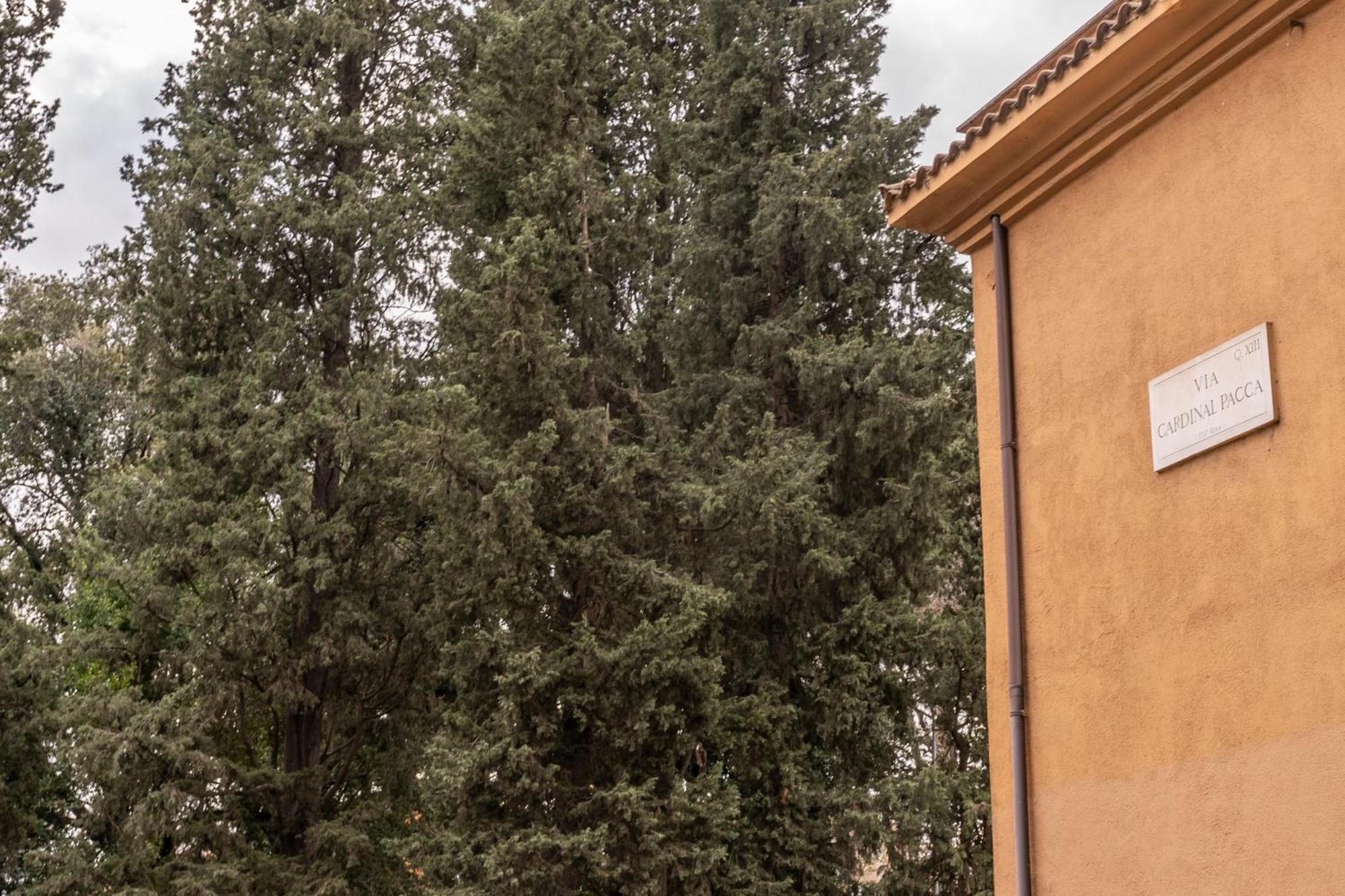 Pmt Roma