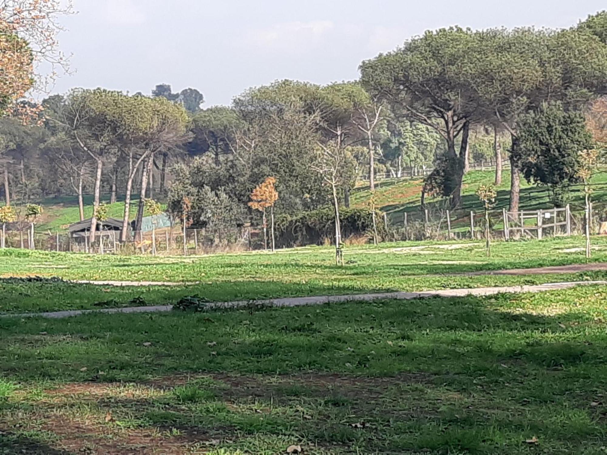 Appartamento Maison Accademia