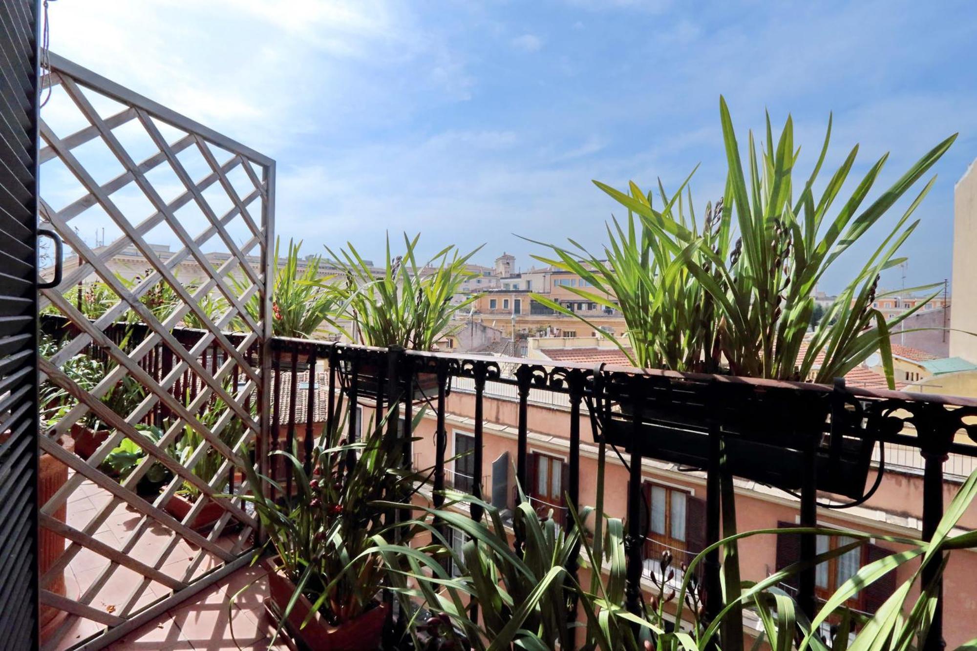 Treasurerome Daphne Terrace Roma
