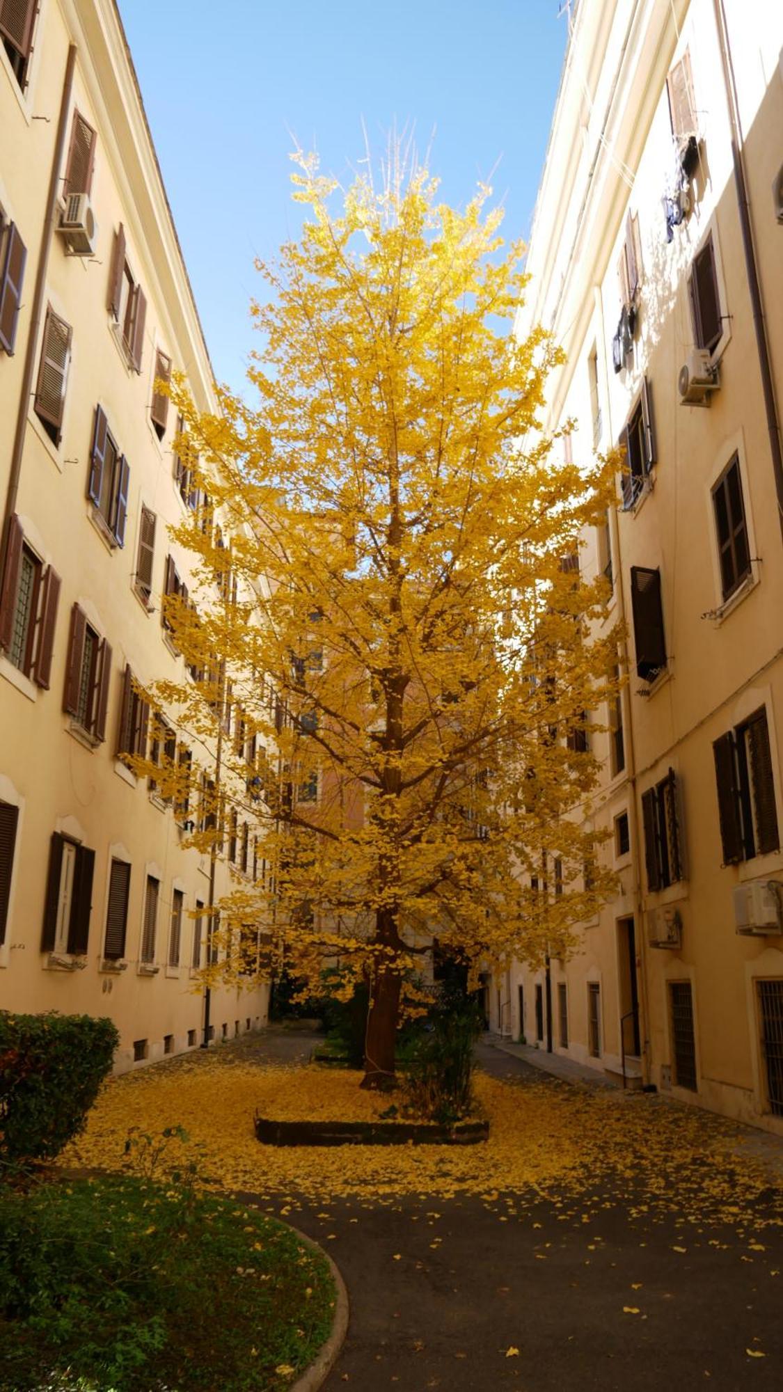 Vera Suite&apartment - Charming 3 Bedroom - 20min Walk From Colosseum * Roma