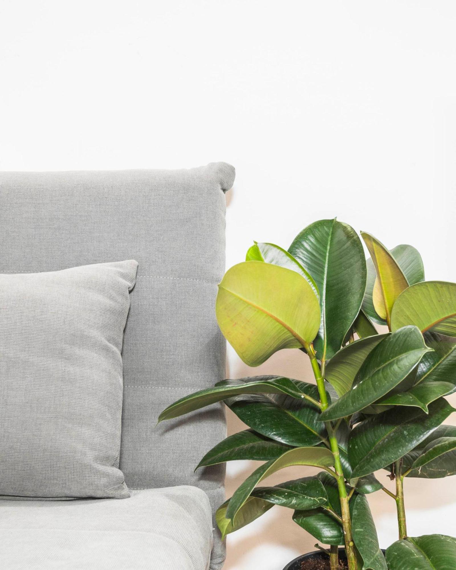 Apartamento Campo De' Fiori - Zen18-19-20