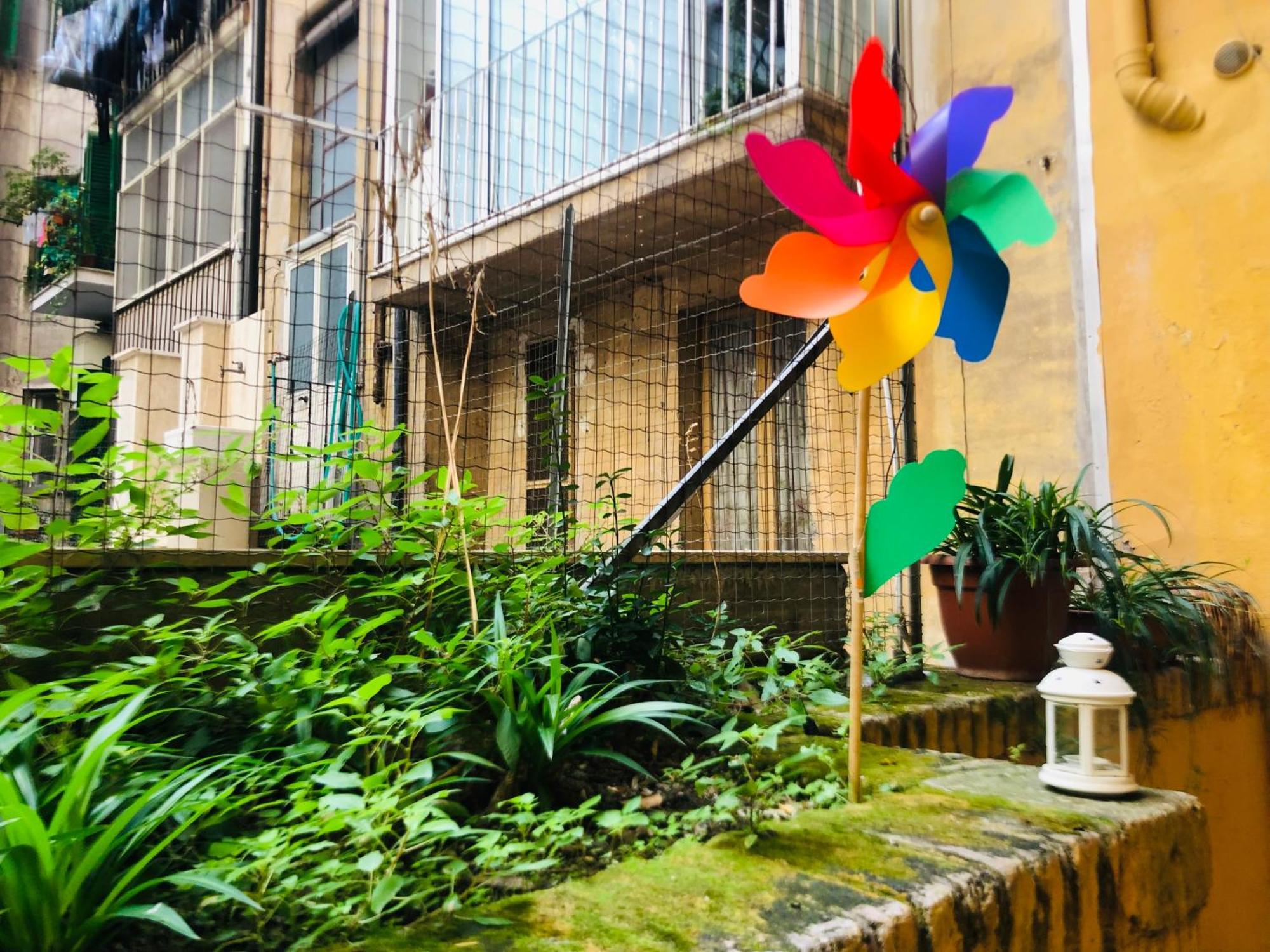Colibri Roma