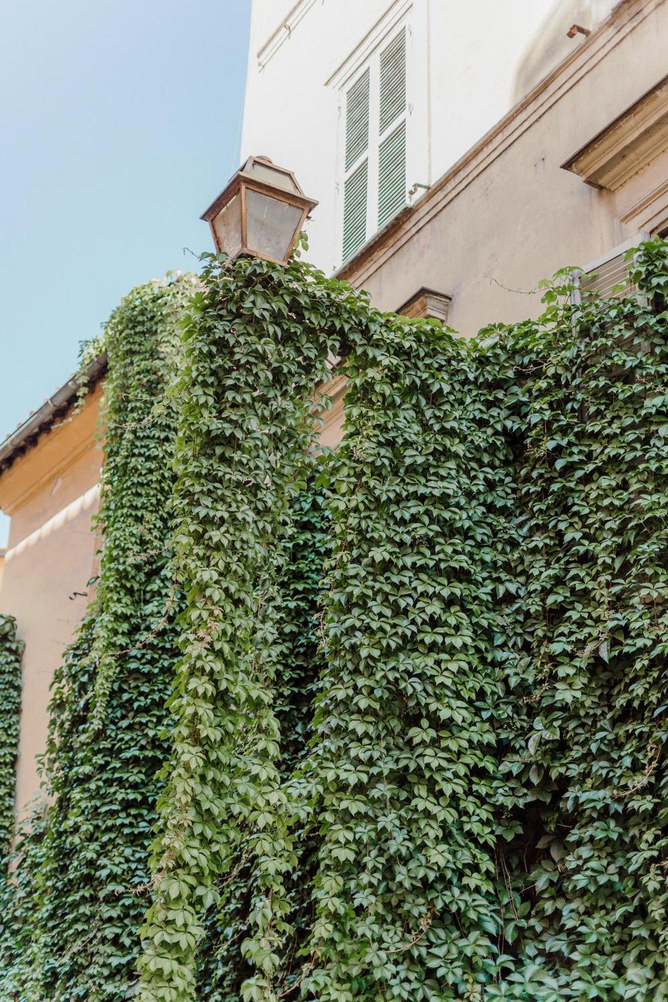 L'agata * Roma
