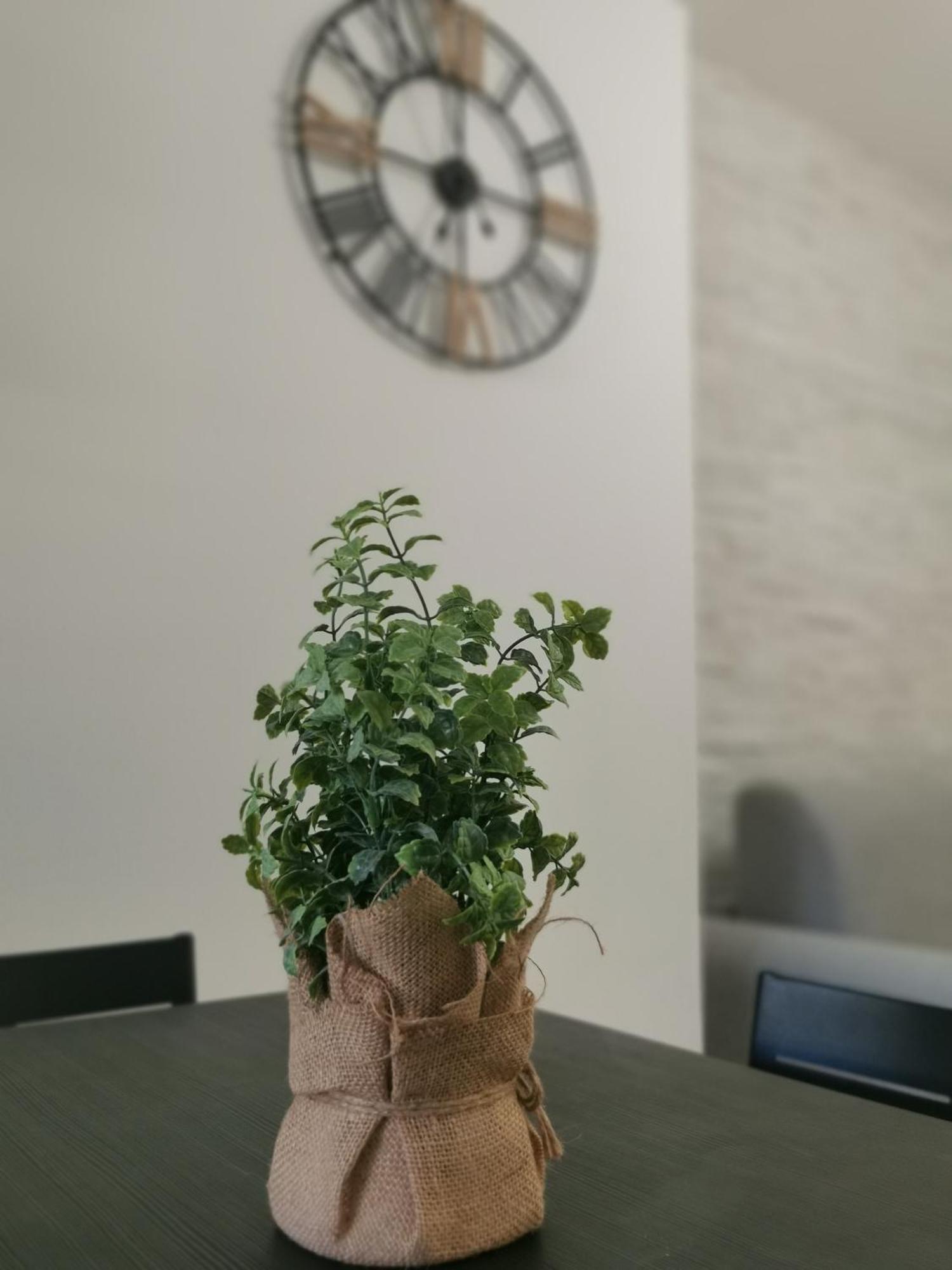Apartment A Due Passi Da Trastevere