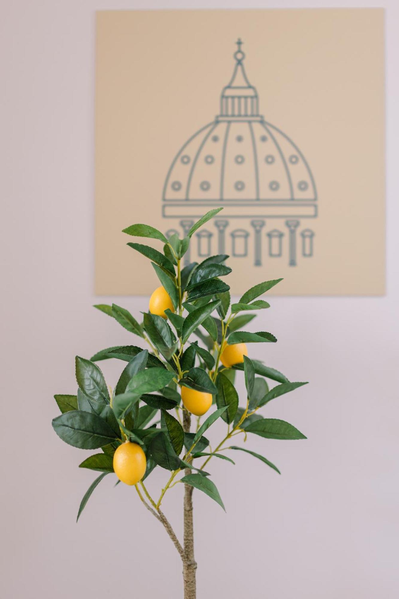 Delizioso In Zona Vaticano Apartamento *