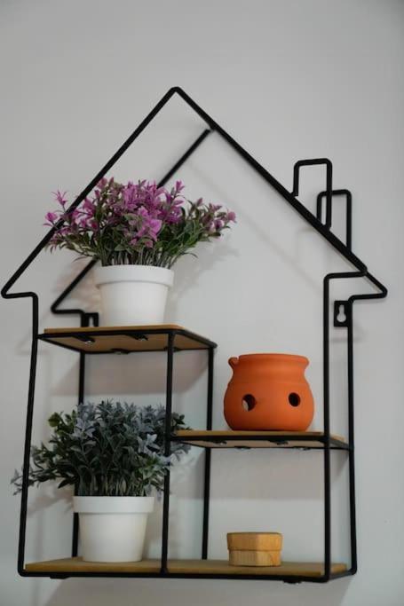 Bonelli Loft Roma