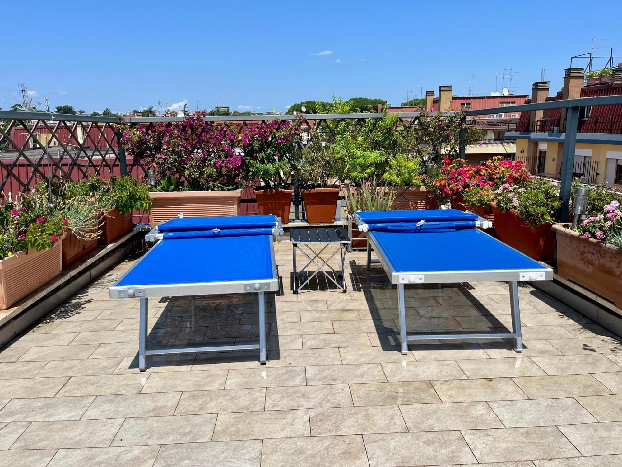Wonderful Apartment