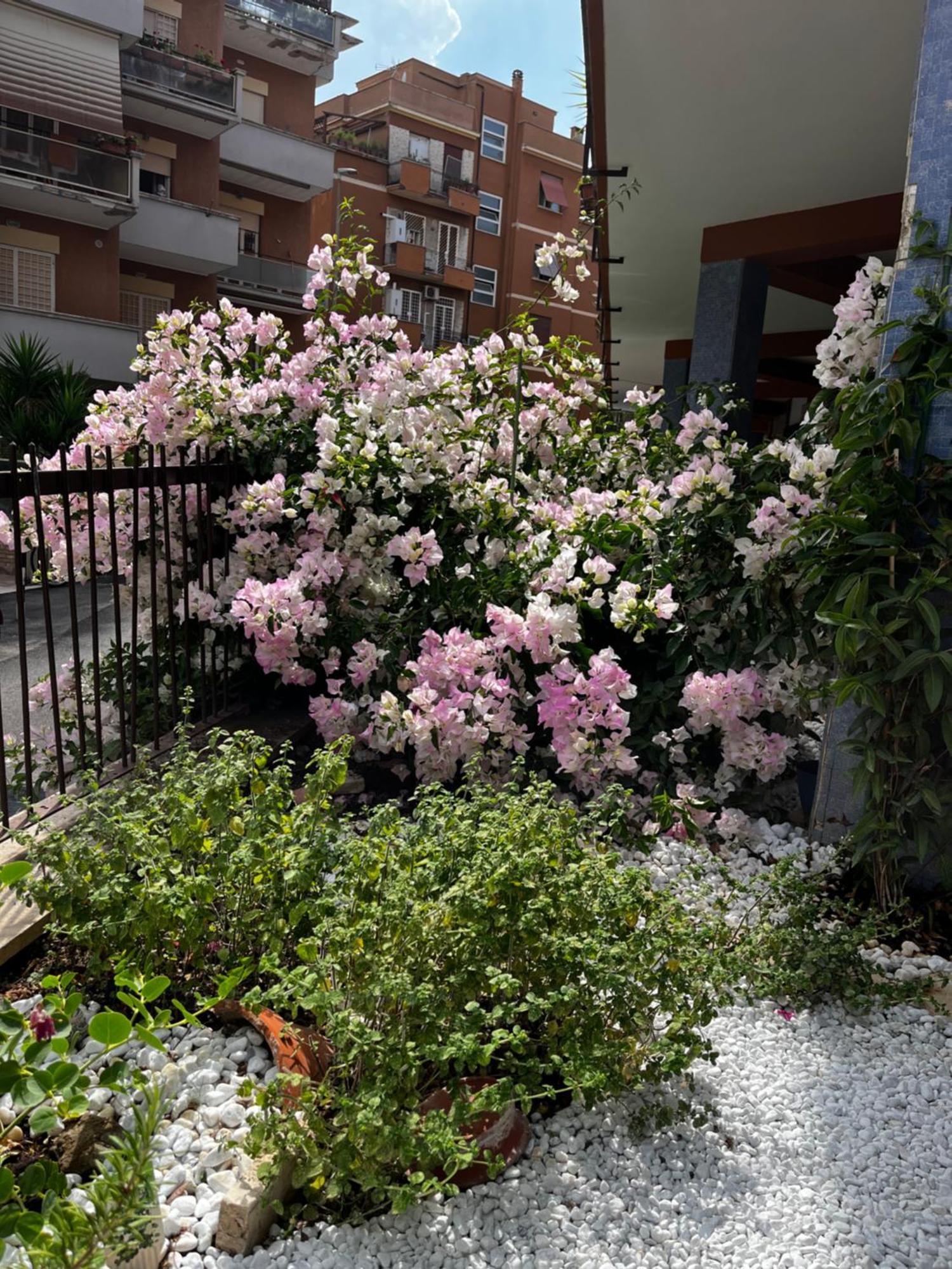 Casetta Romana * Roma