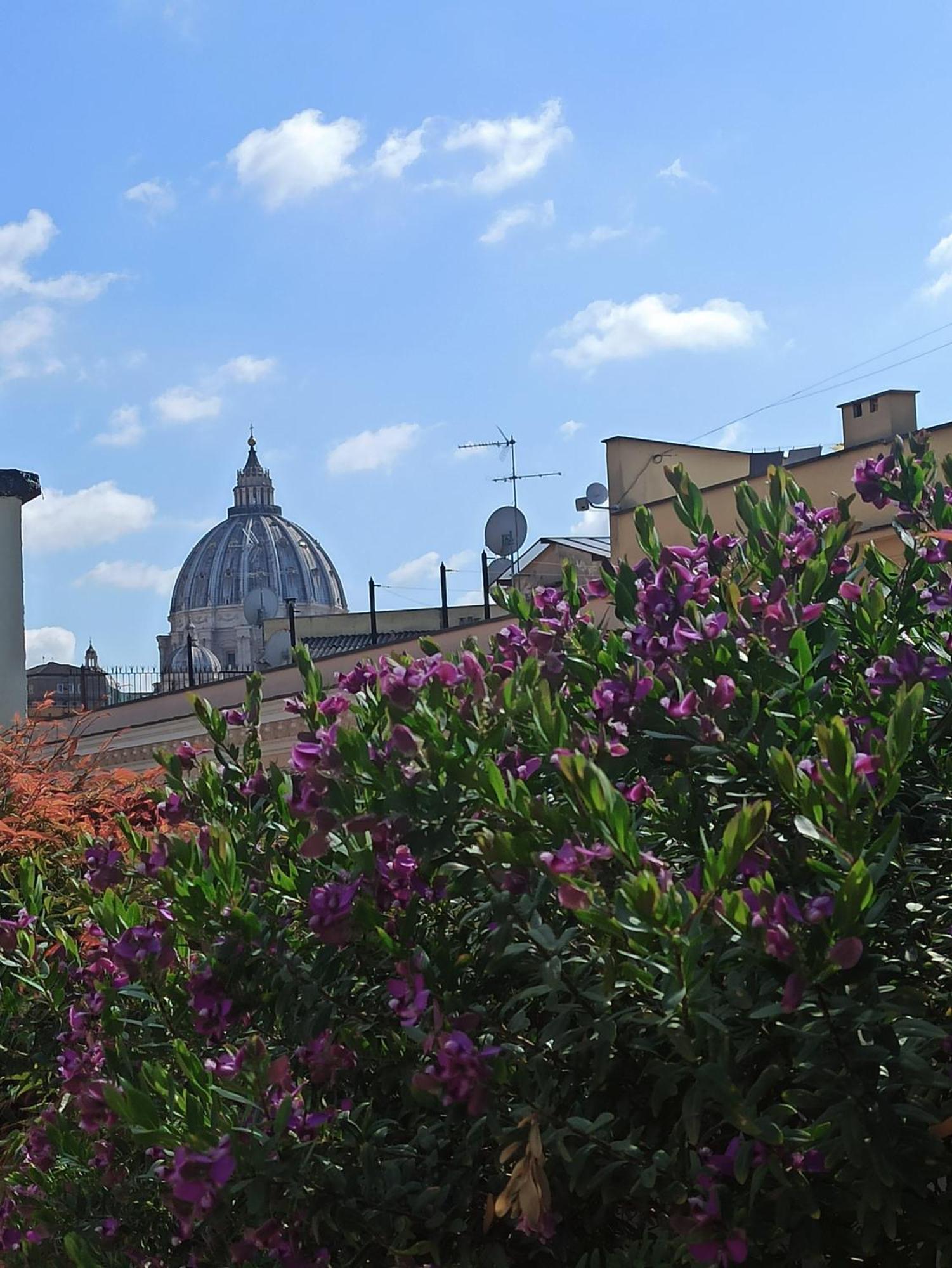 Apartamento Living By Vatican With Panoramic Terraces In Roma