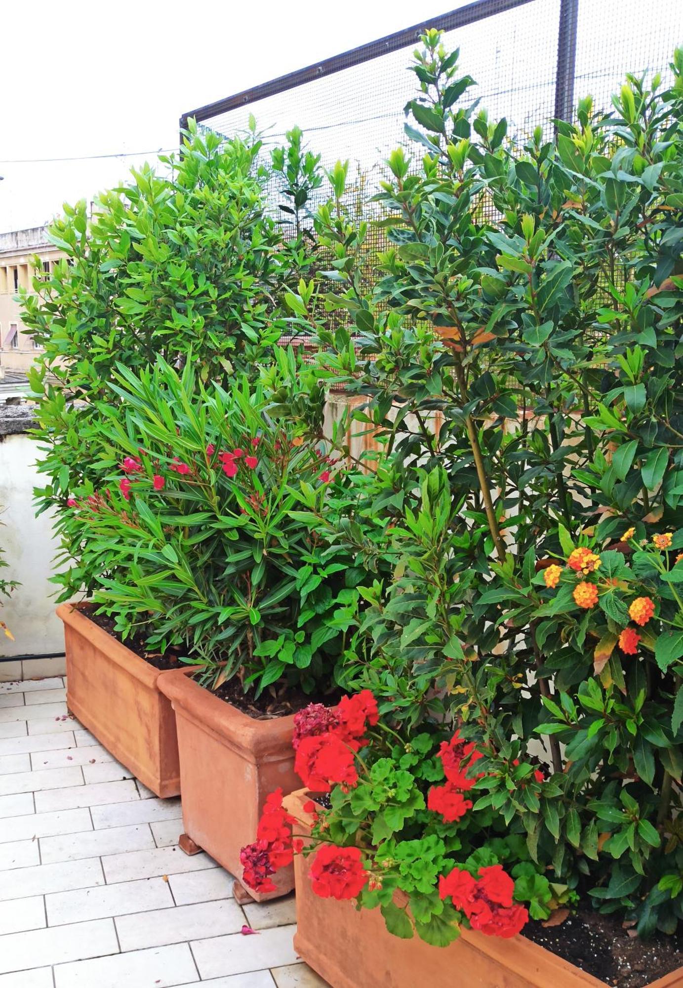 Apartamento Living By Vatican With Panoramic Terraces In