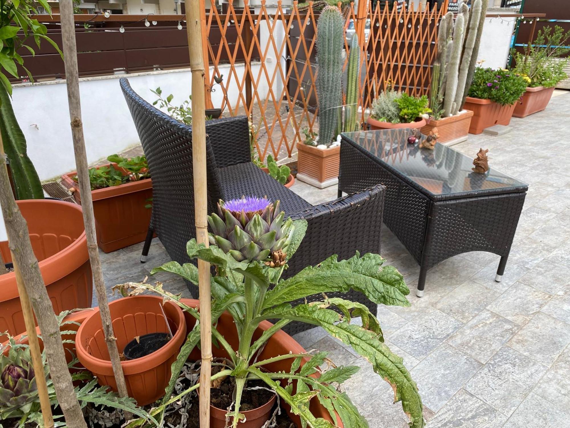Officinale Apartment, Pineta Sacchetti *