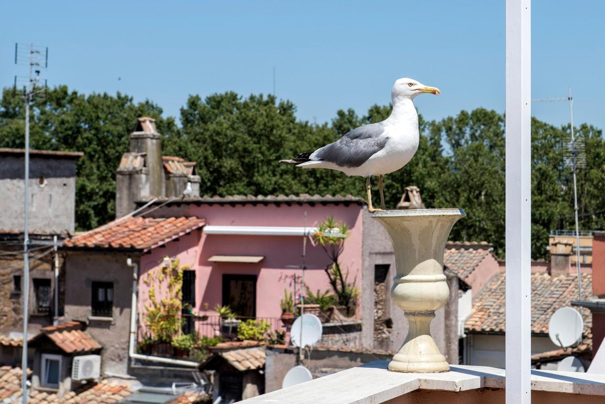 Appartamento Chiostro Del Bramante Accomodation