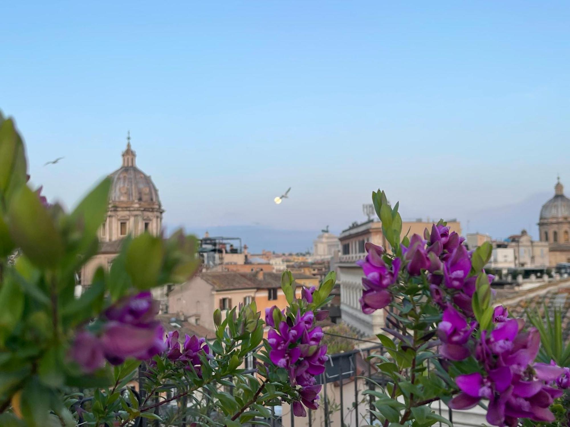 Flower Roma