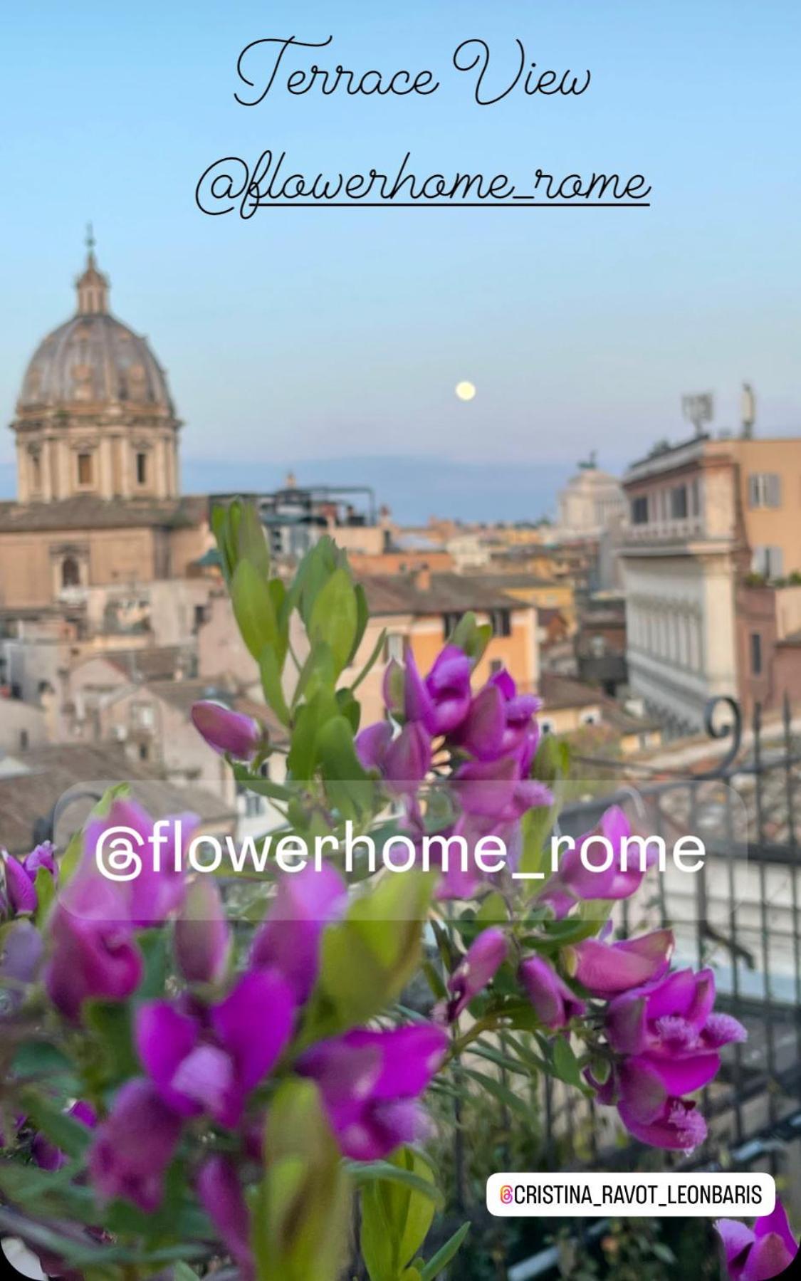 Flower Appartamento
