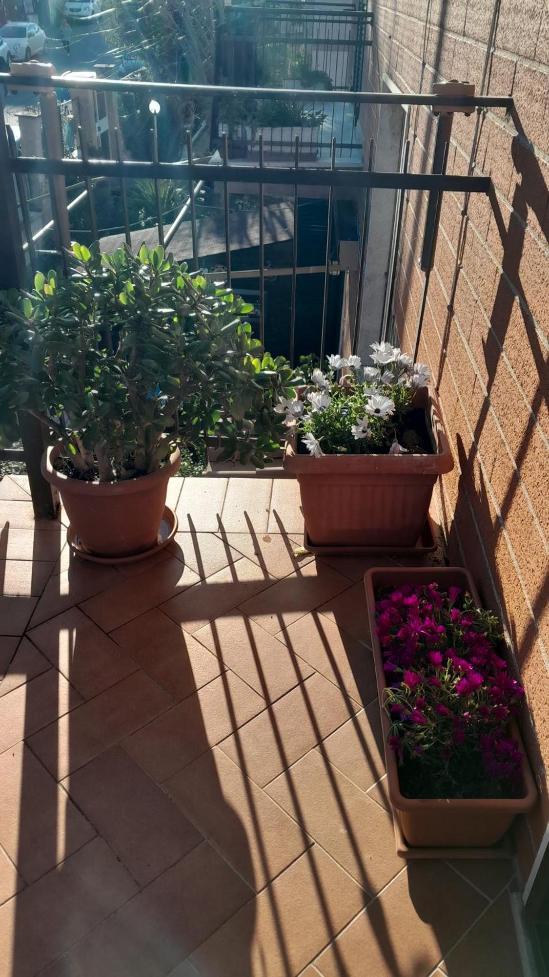 La Romana Apartamento *