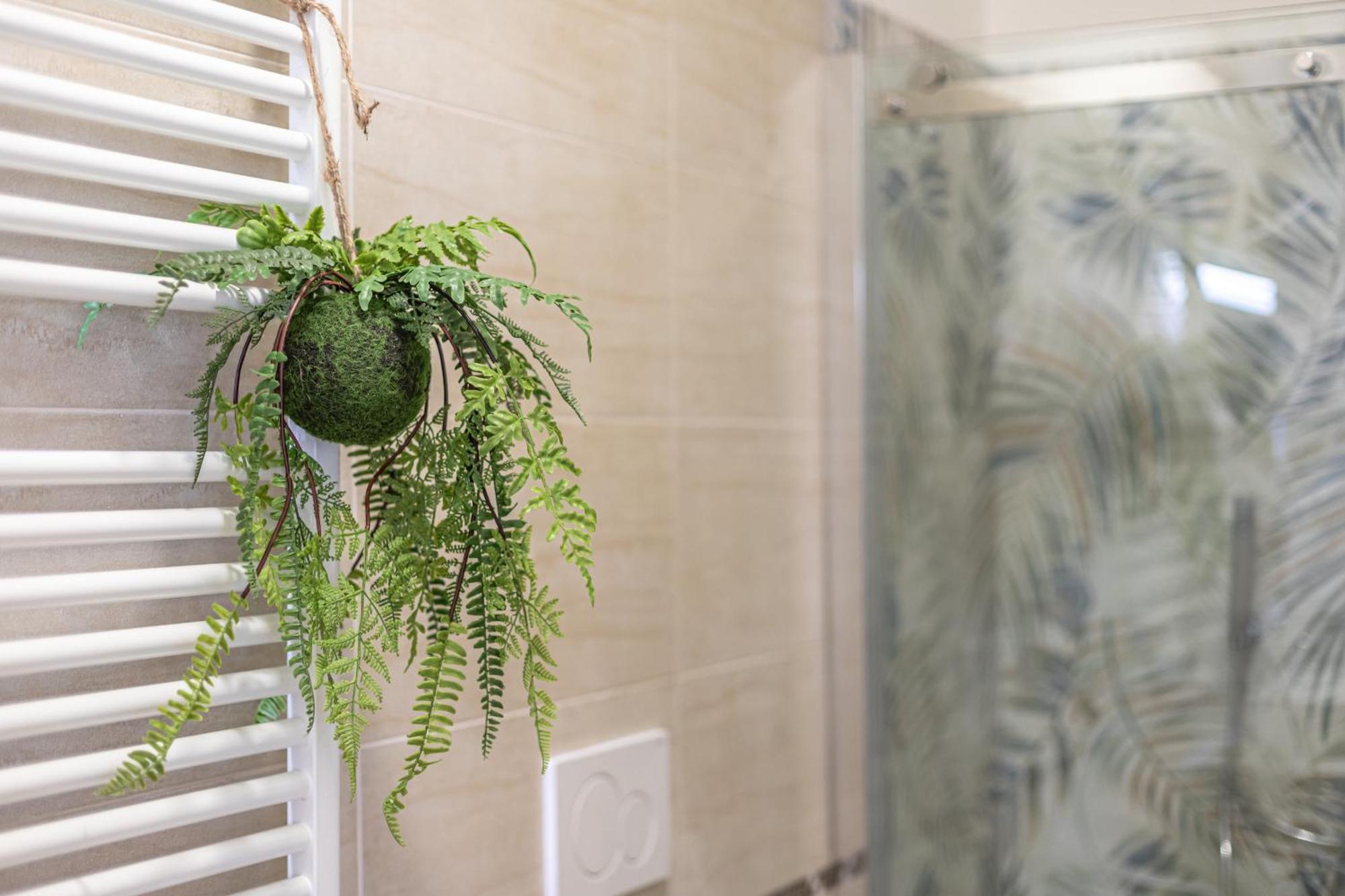 Apartamento Cornelia Elegance House *