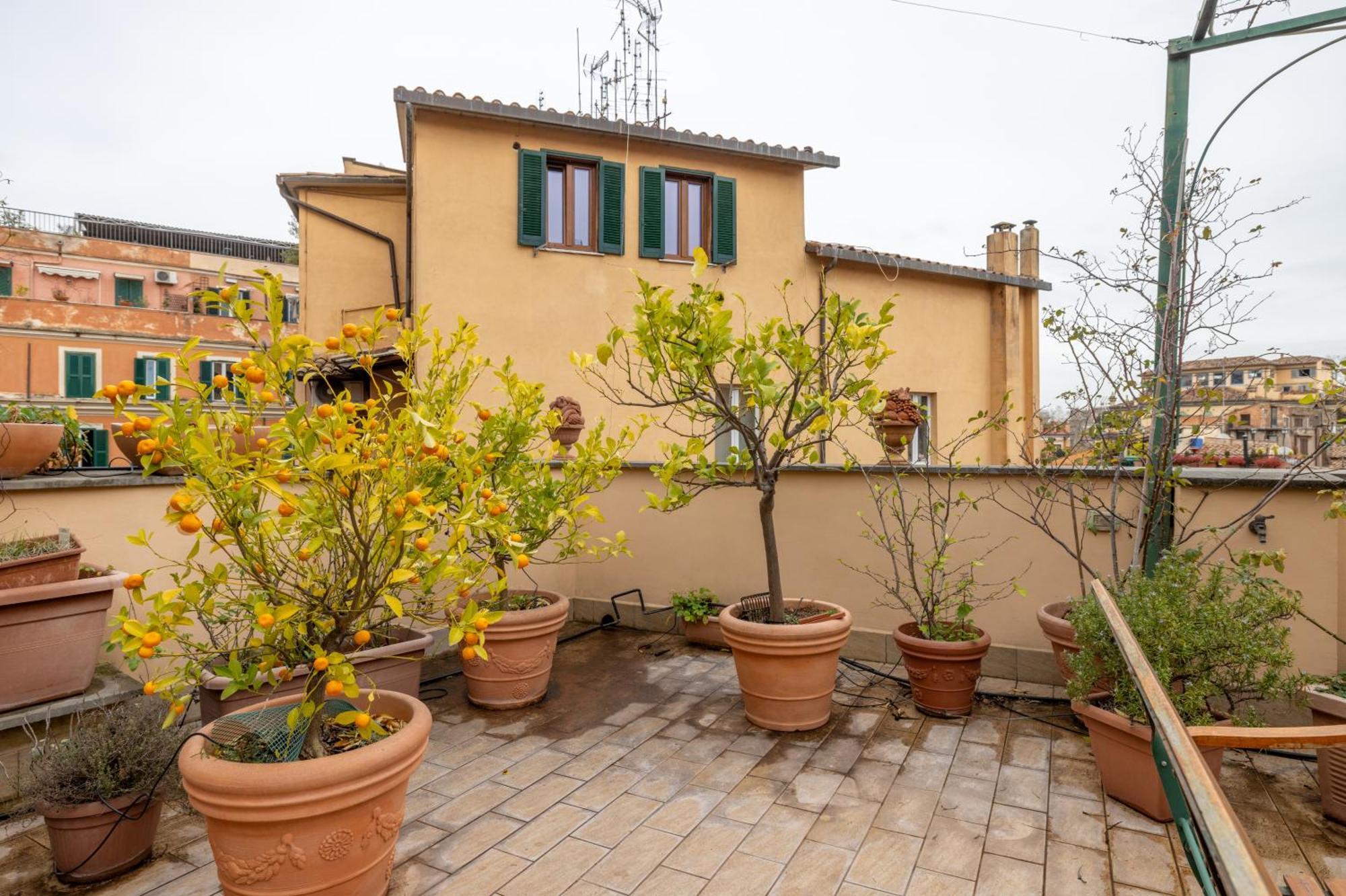 Maison Pelliccia Terrace Apartamento *