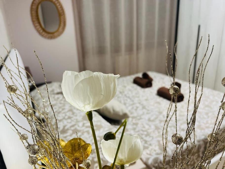Apartamento Albona 77 Roma