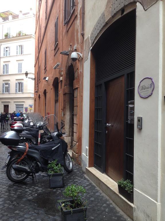 Wisteria * Roma