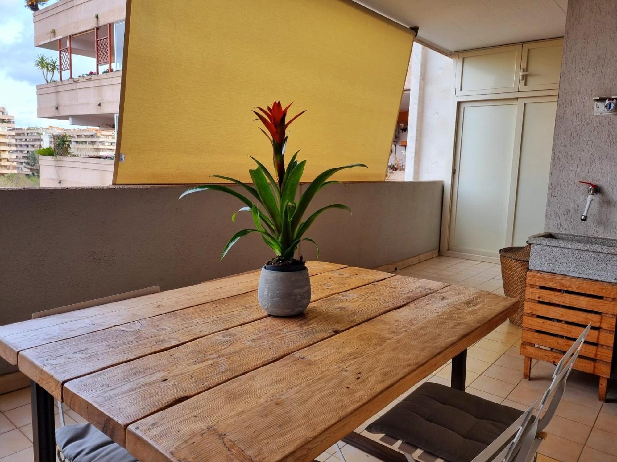 Apartamento Modern - Starhouse *