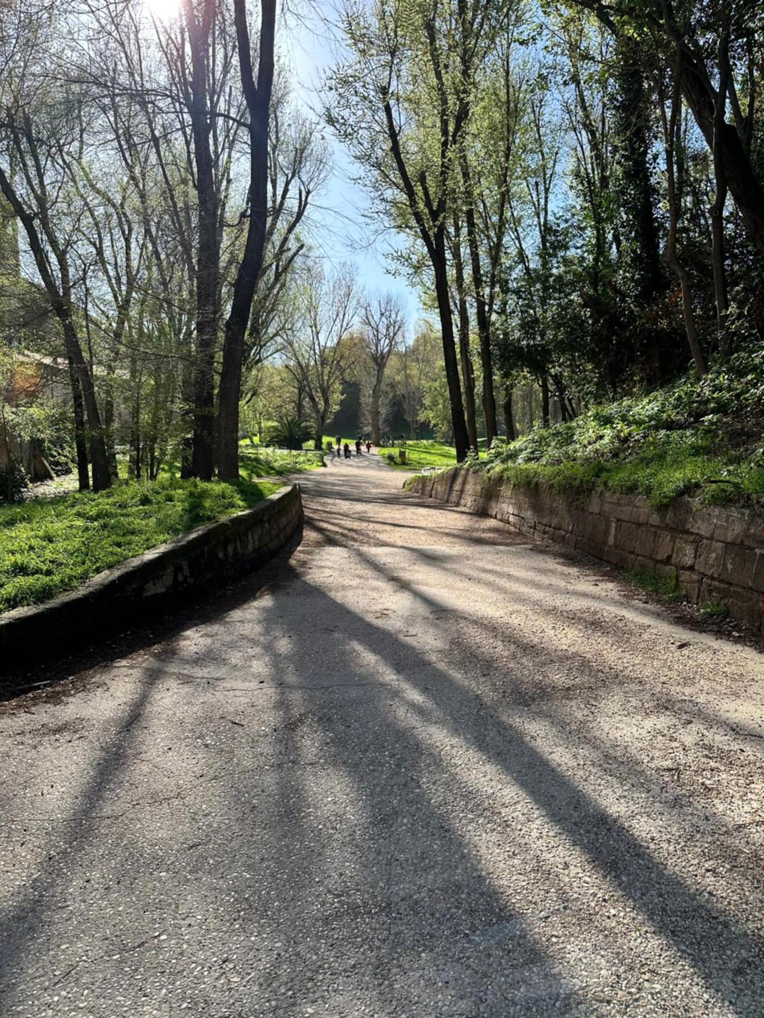 Appartamento Olimpia Pamphili - Centro Storico Di - Gianicolo Trastevere San Pietro *