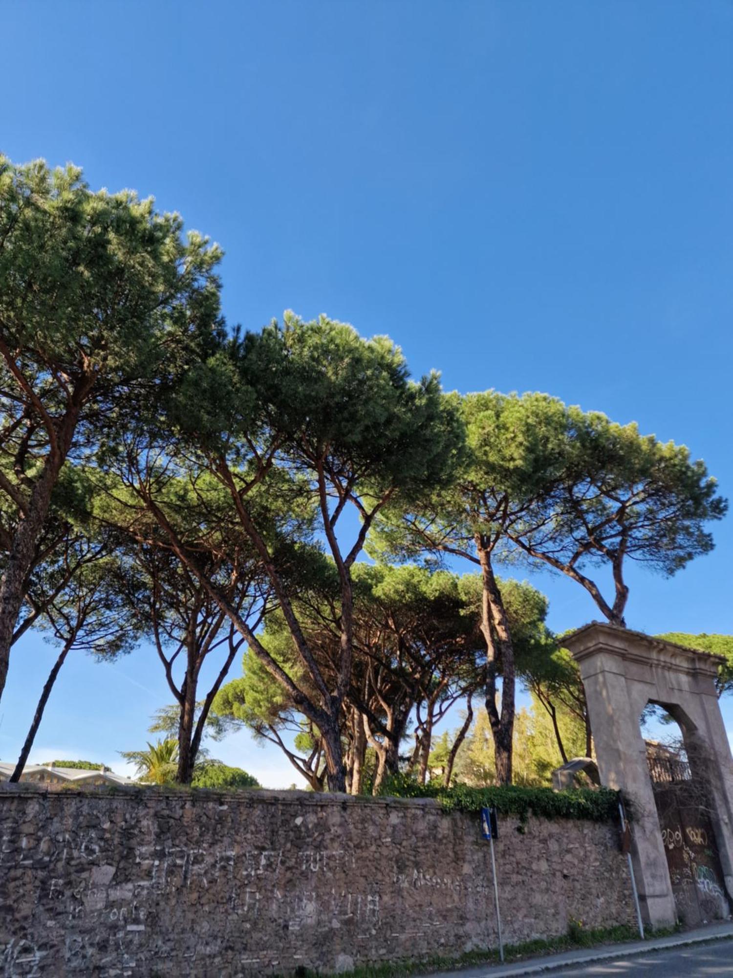 Appartamento Vacanze Romane - Vatican