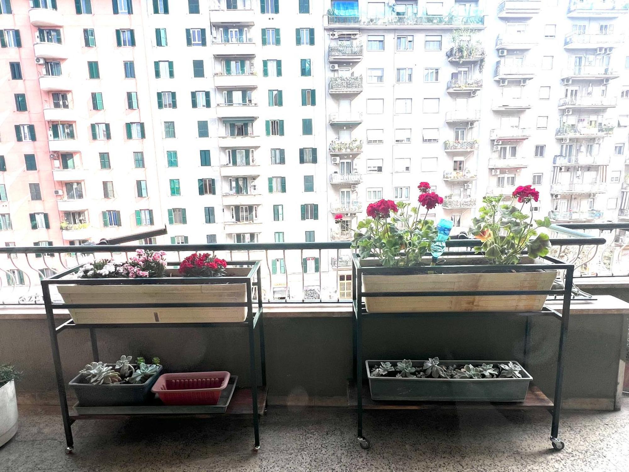 Apartment Valentina House *