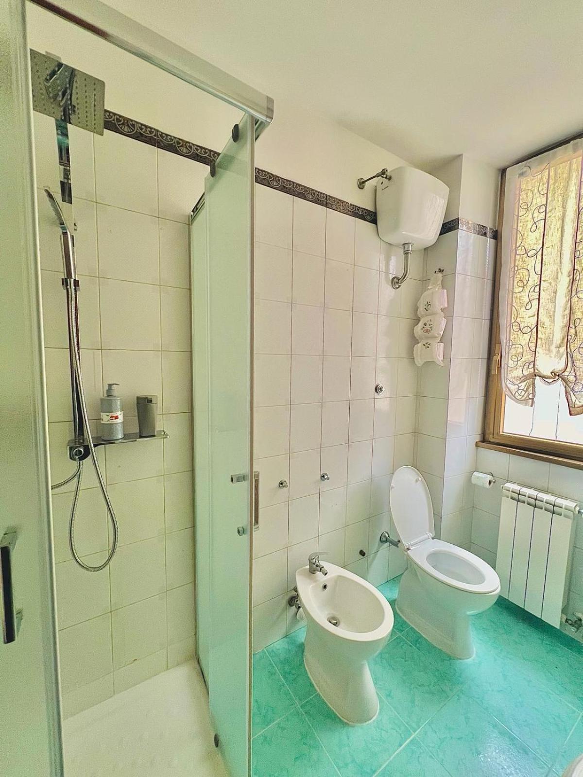 Begonie House Roma