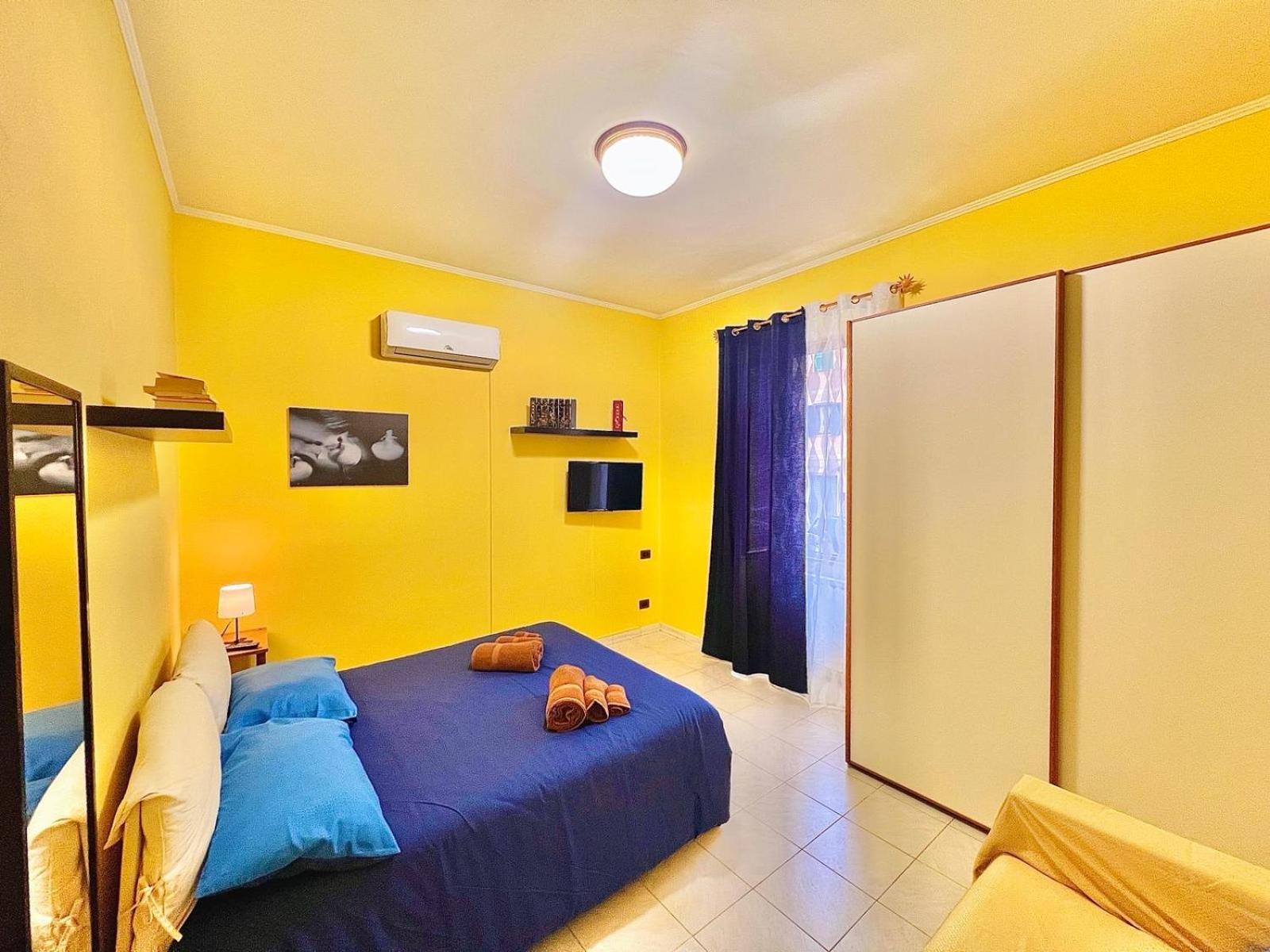 Begonie House Roma