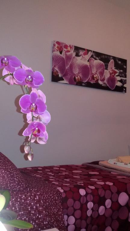 Bed & Breakfast Interno 8