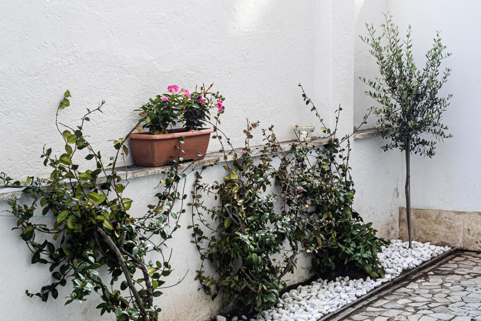 Appartamento Flaminio * * * * * - Loft Con Giardino *