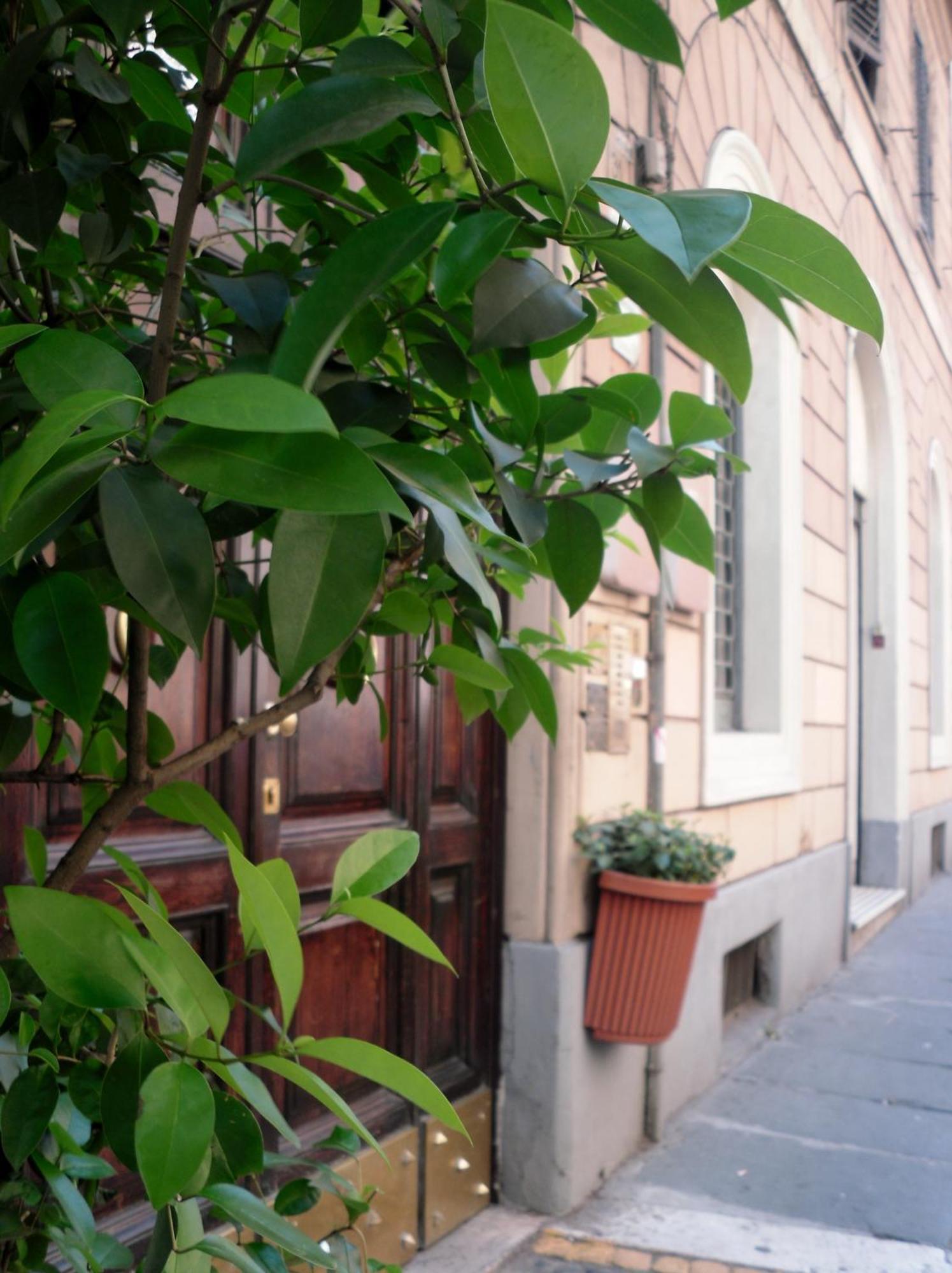 Hotel Castelfidardo Roma