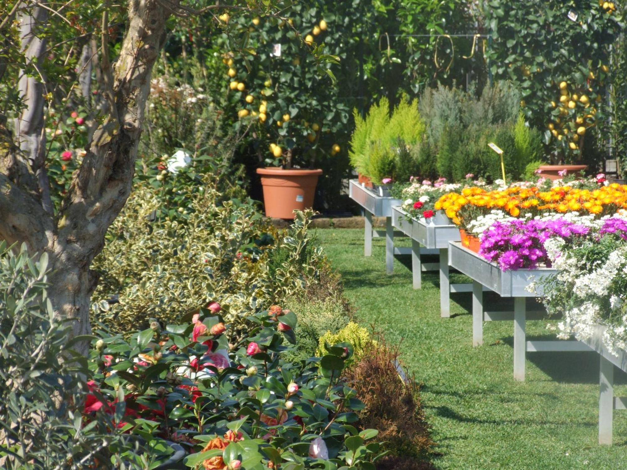 Bed and breakfast Residenza I Ciclamini 2*