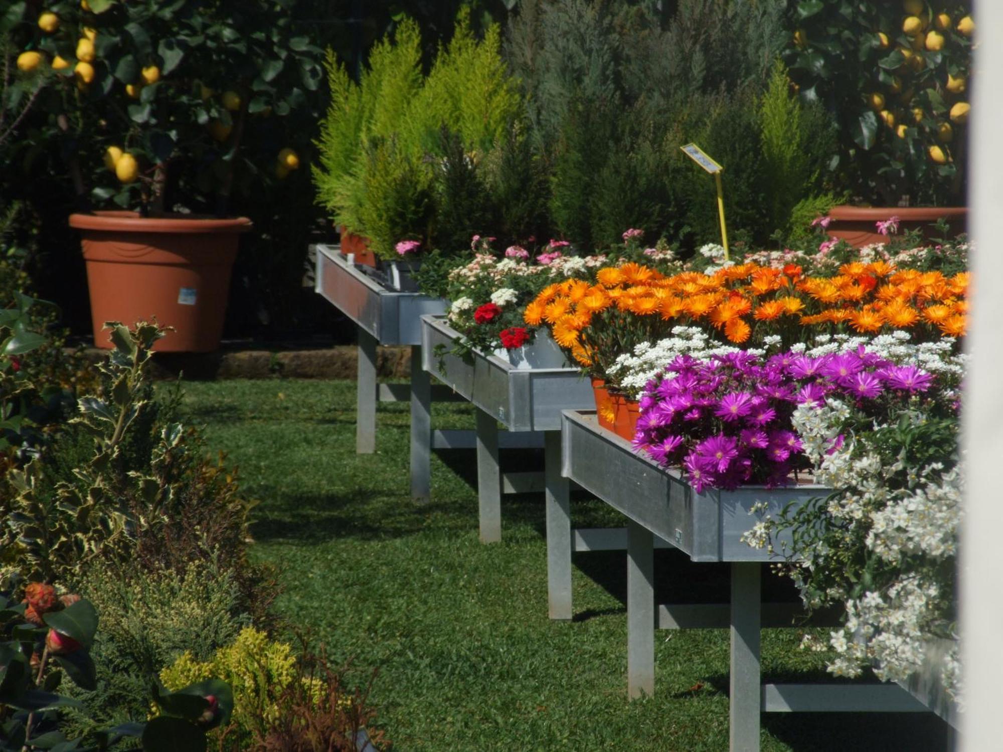 Bed and breakfast Residenza I Ciclamini 2*