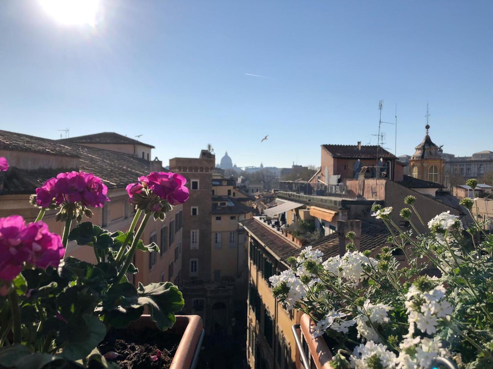 Apartamento Stelletta 1a Roma