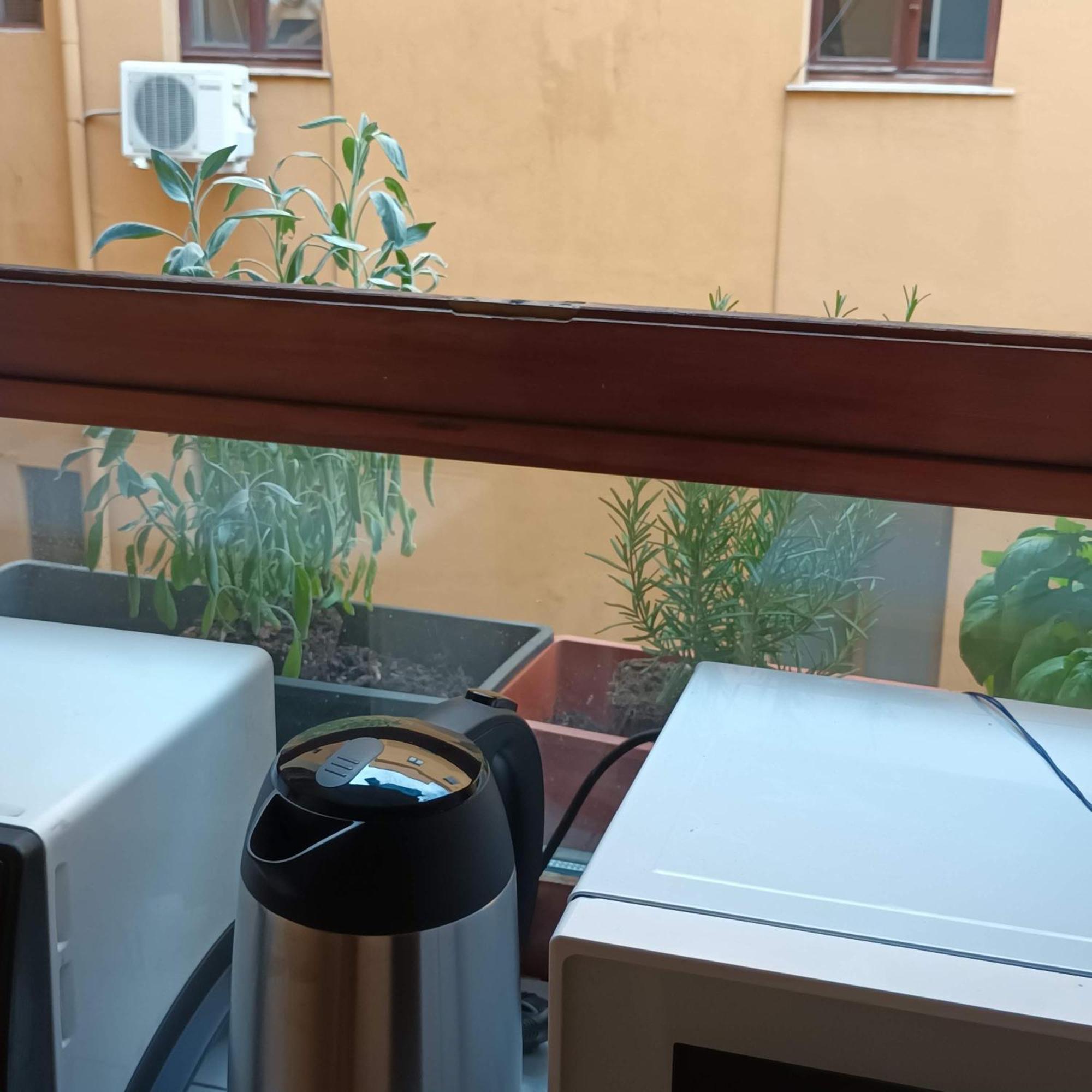 La Casa Di Filippo Roma