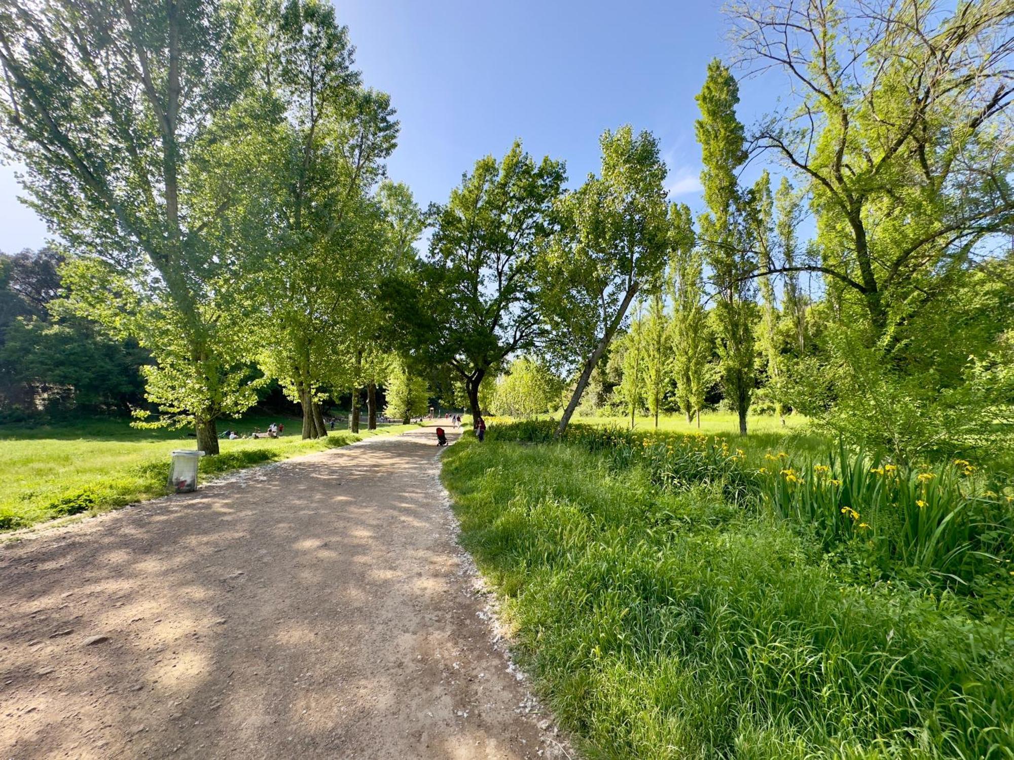 Appartamento Olimpia Pamphili - Centro Storico Di - Gianicolo Trastevere San Pietro *