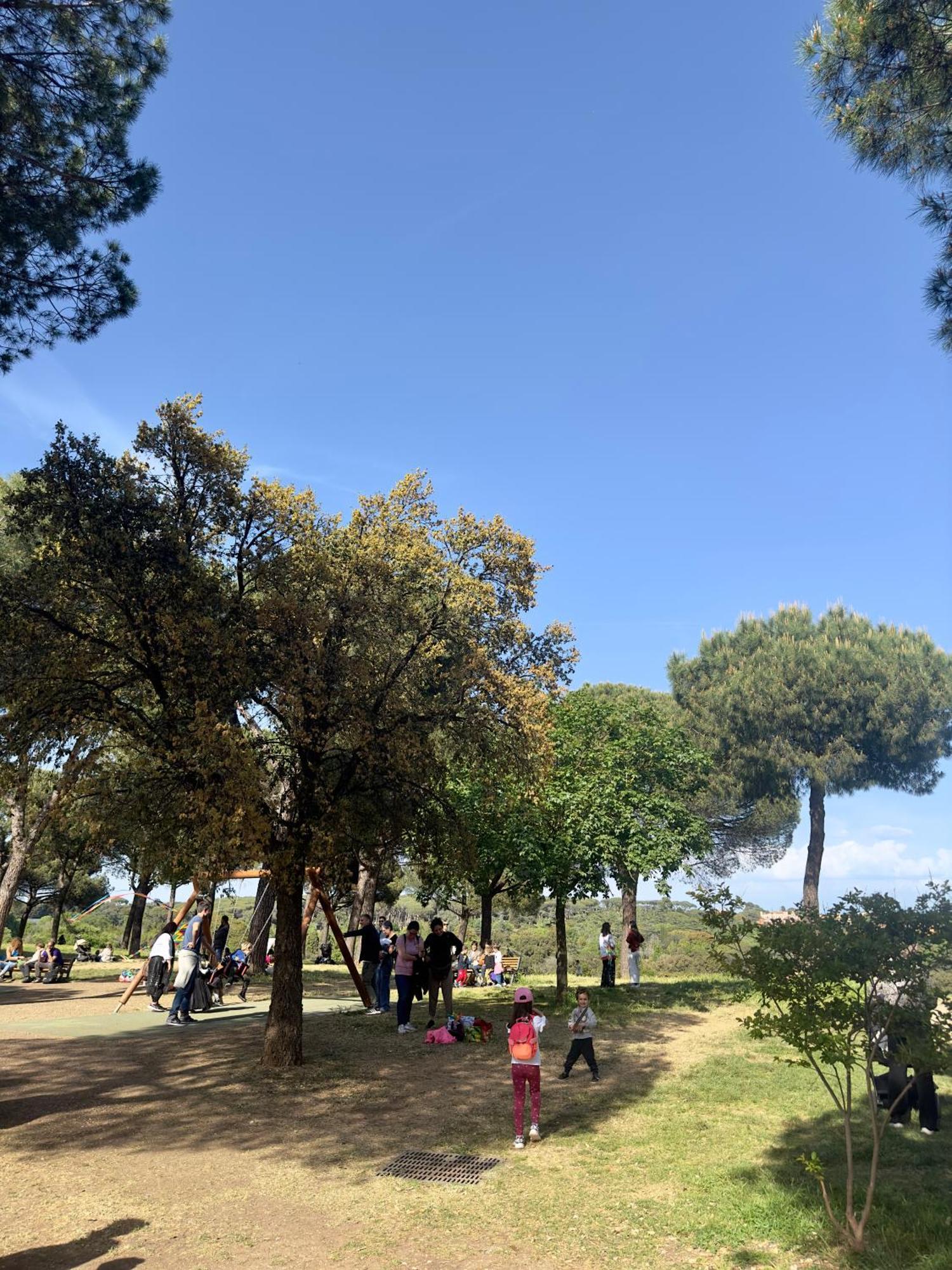 Appartamento Olimpia Pamphili - Centro Storico Di - Gianicolo Trastevere San Pietro Roma
