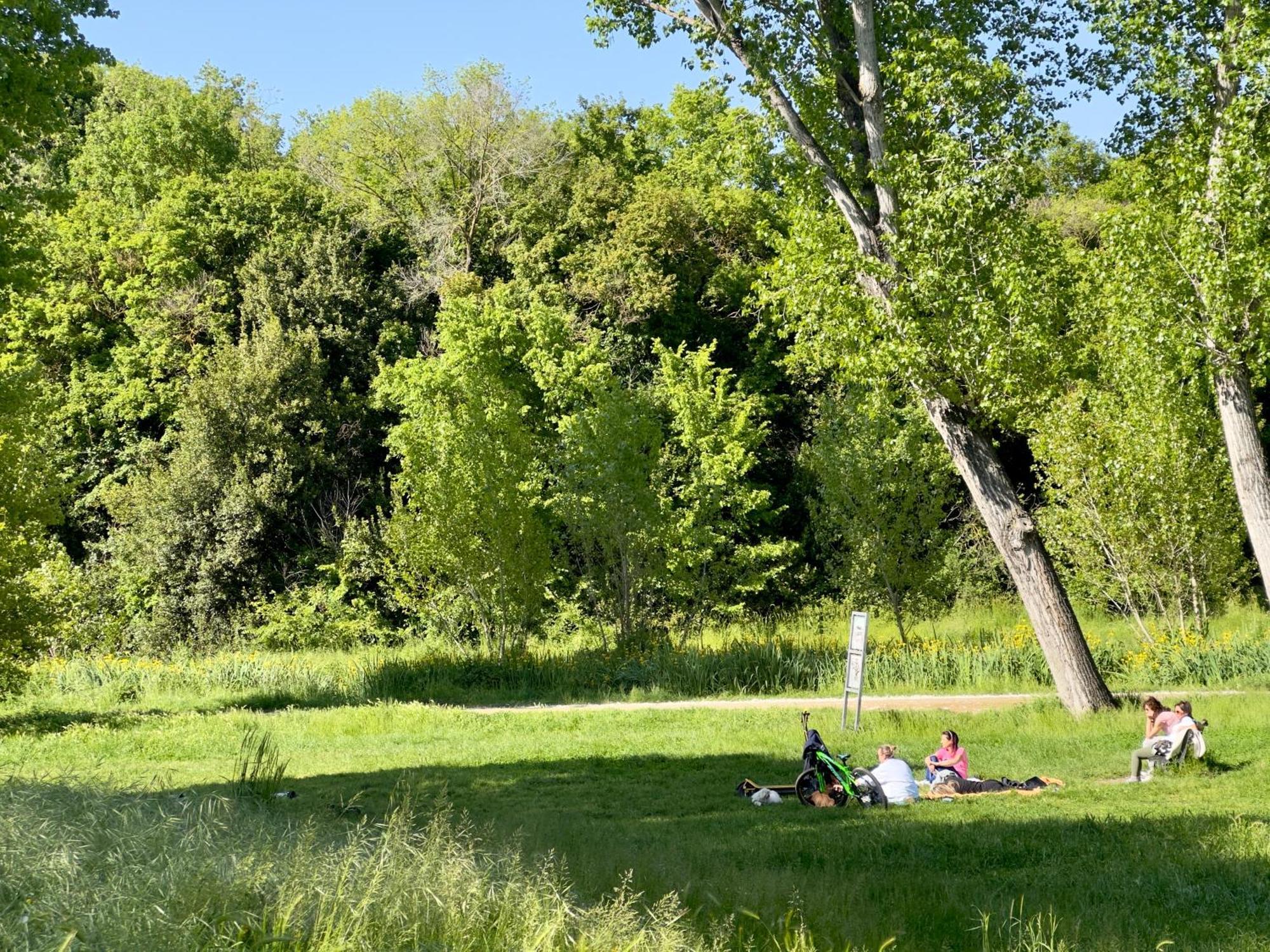 Appartamento Olimpia Pamphili - Centro Storico Di - Gianicolo Trastevere San Pietro